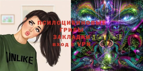гашик Баксан