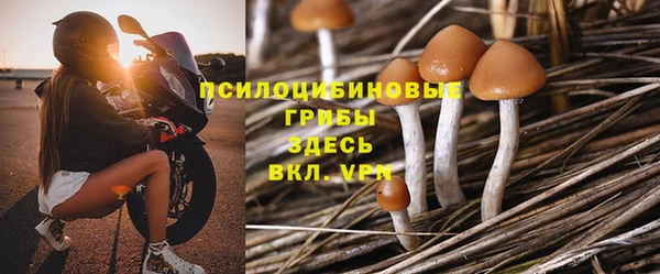 apvp Алзамай