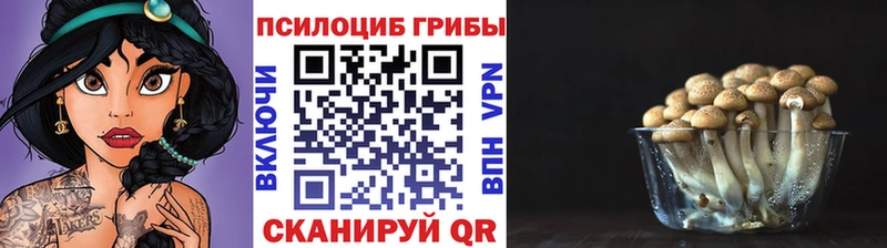 Псилоцибиновые грибы мицелий  купить  сайты  Ижевск 