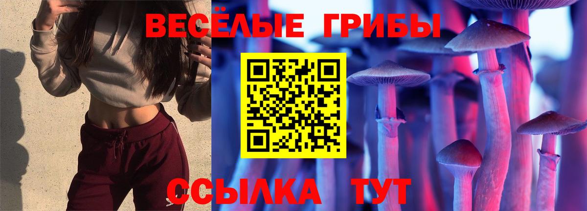 Псилоцибиновые грибы Magic Shrooms Ижевск