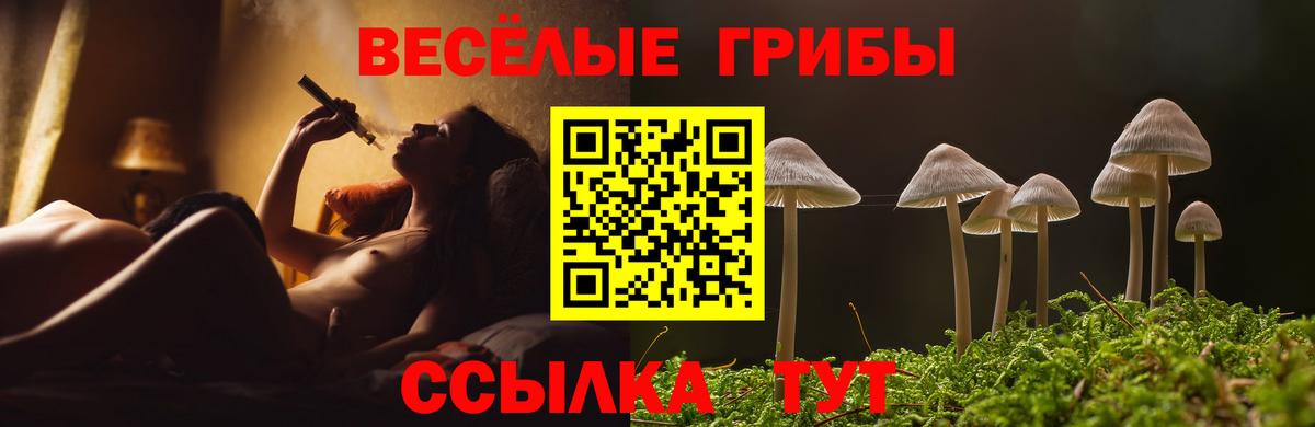 Псилоцибиновые грибы мицелий  Вход с VPN  Галлюциногенные грибы Cubensis  наркота  Ижевск 